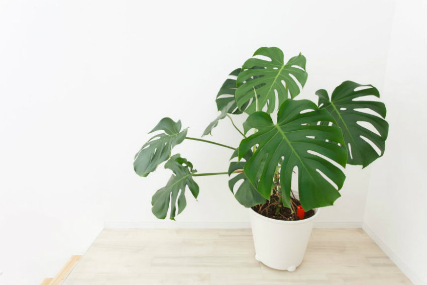 5 Home Decorating Ideas