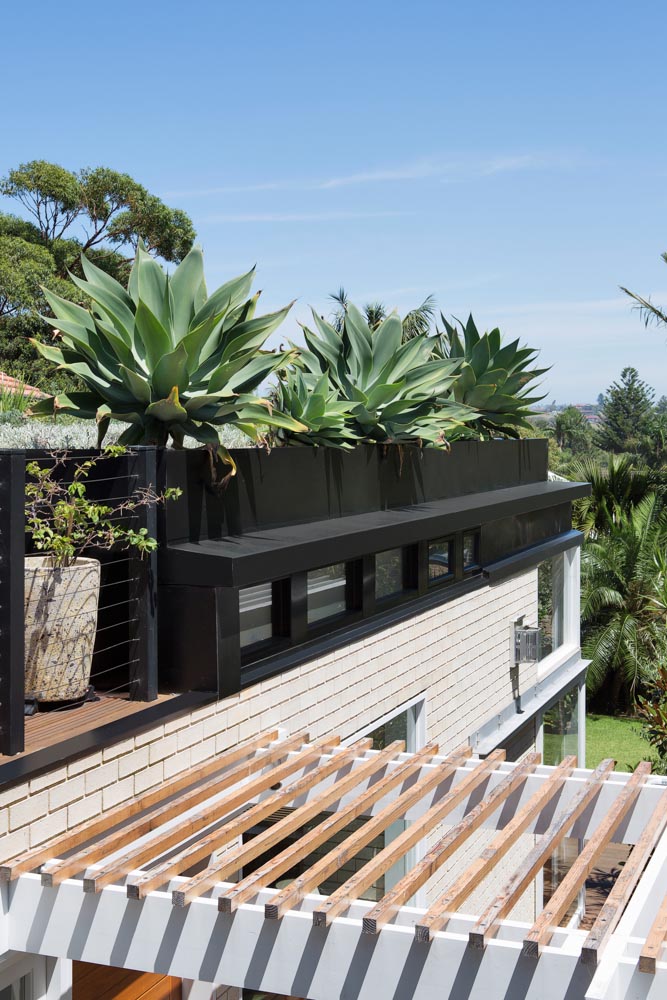 mid-century modern renovation