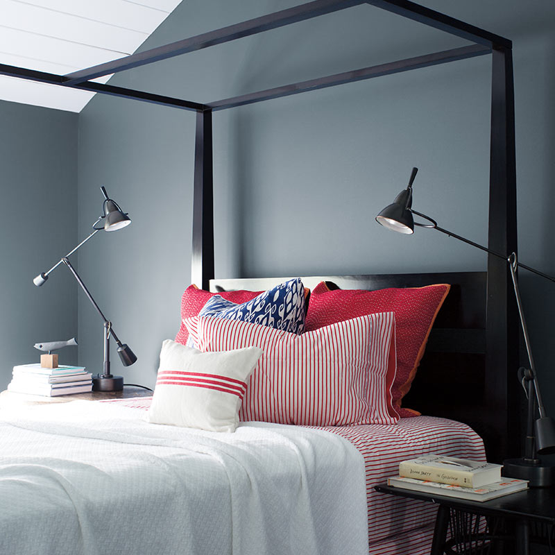 This is... The Benjamin Moore Color of the Year for 2018!