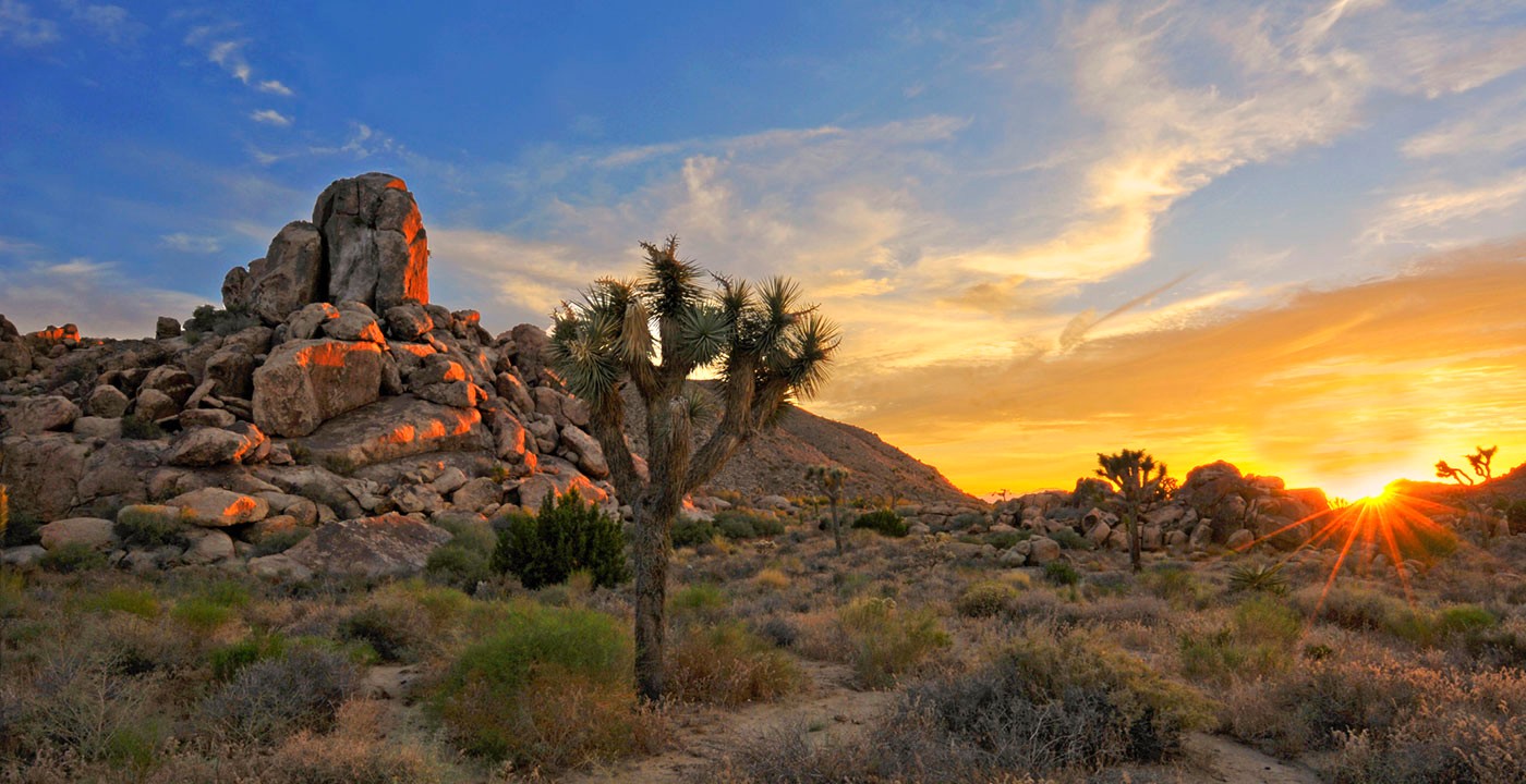 10 Things to Do in Palm Springs That Will Make Great Insta Stories
