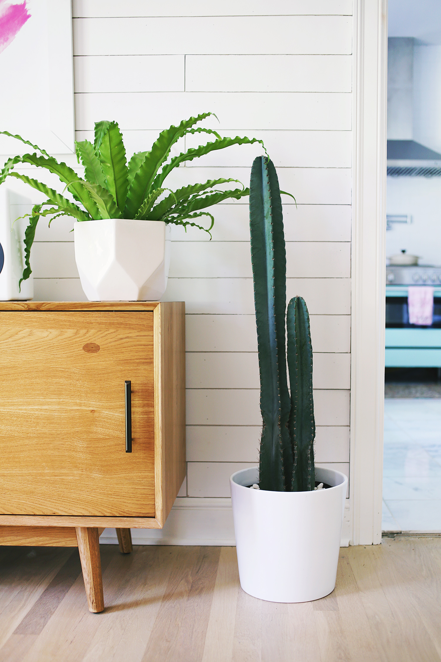 Summer Home Hack- The Houseplants That'll Change the Game_1
