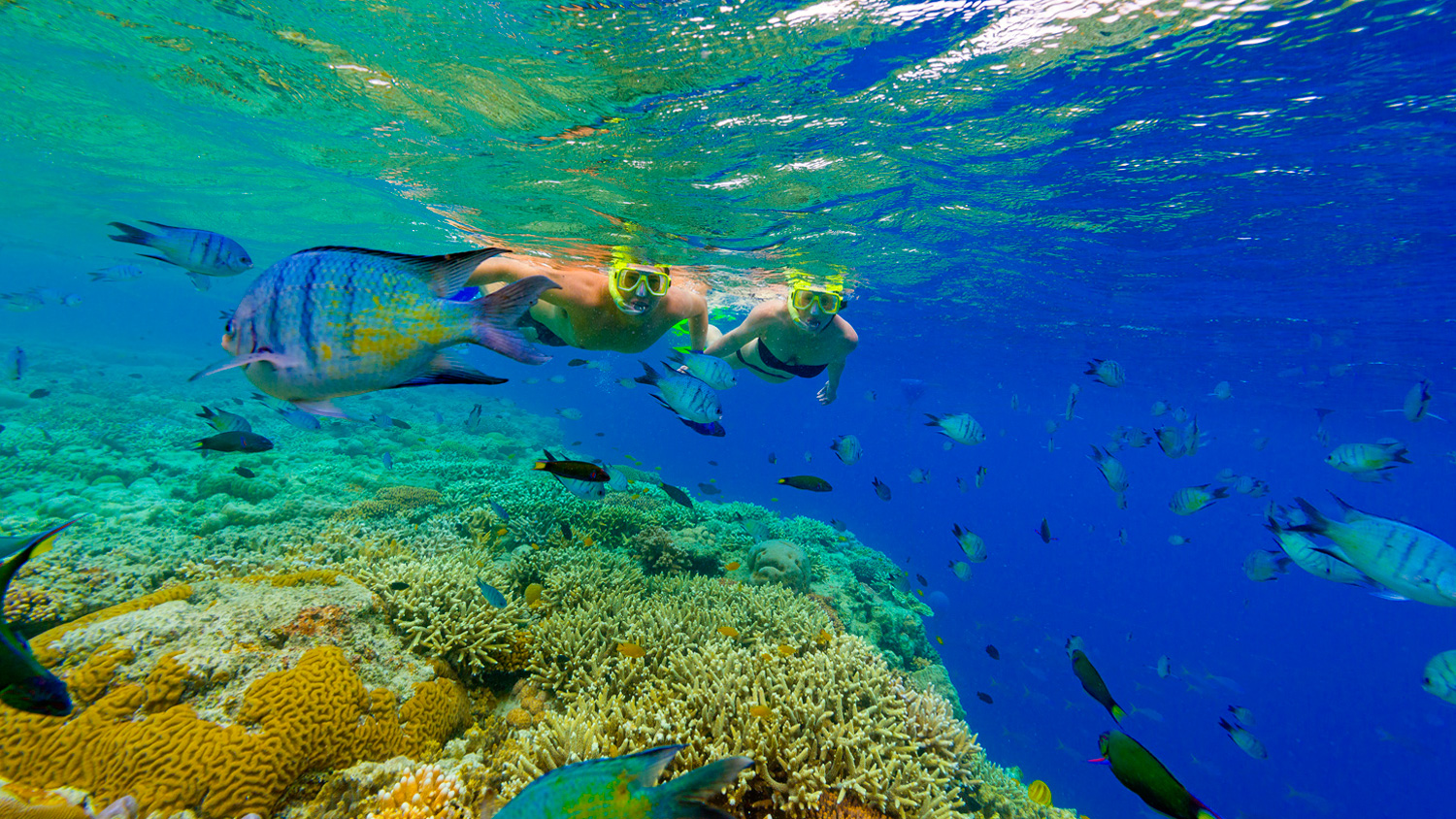 These Are the 15 Best Places to Visit in Australia in 2018!_1