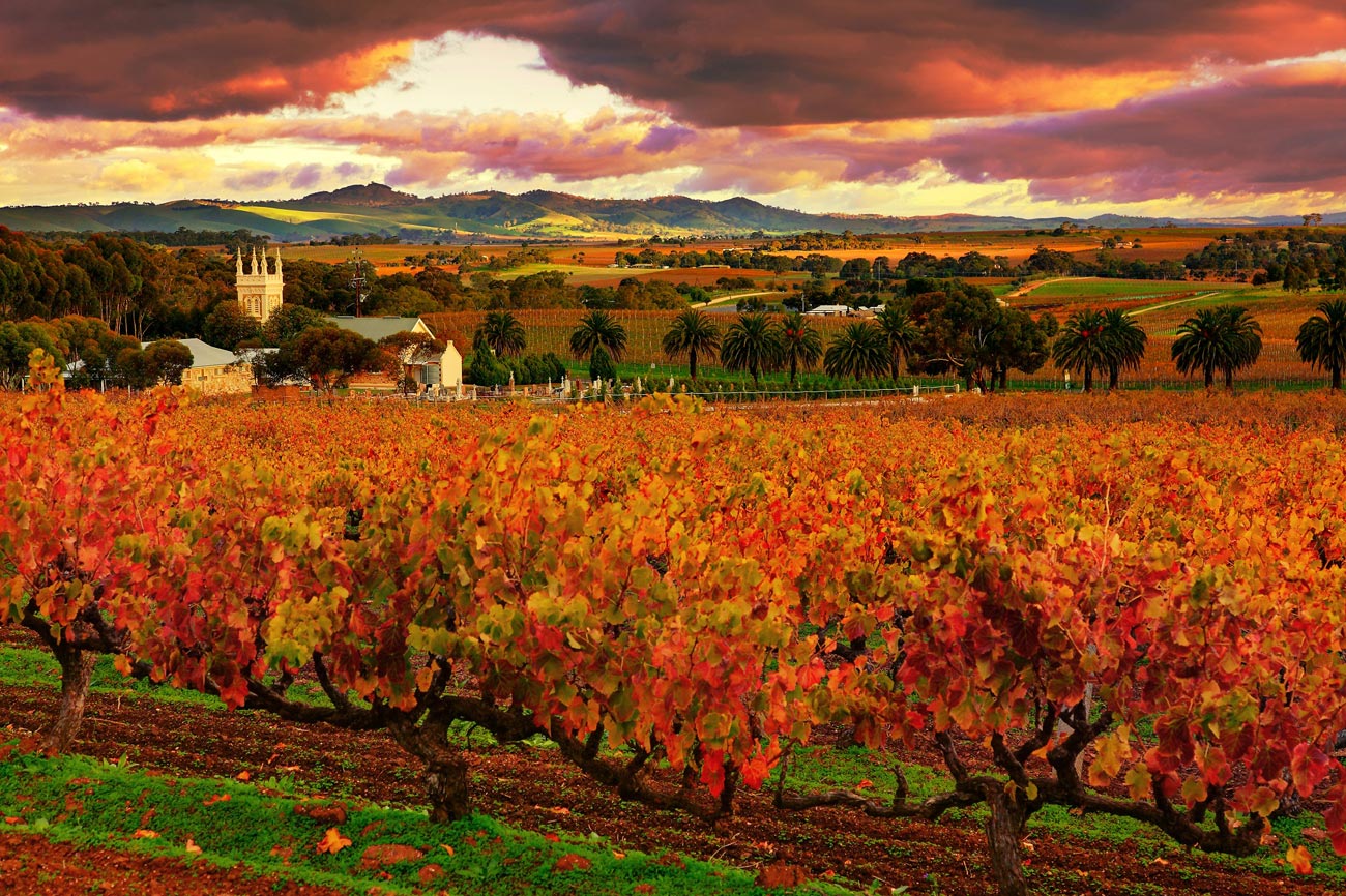 These Are the 15 Best Places to Visit in Australia in 2018!_10