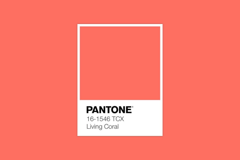 Announcing The Amazing Pantone Color Of The Year 2019!