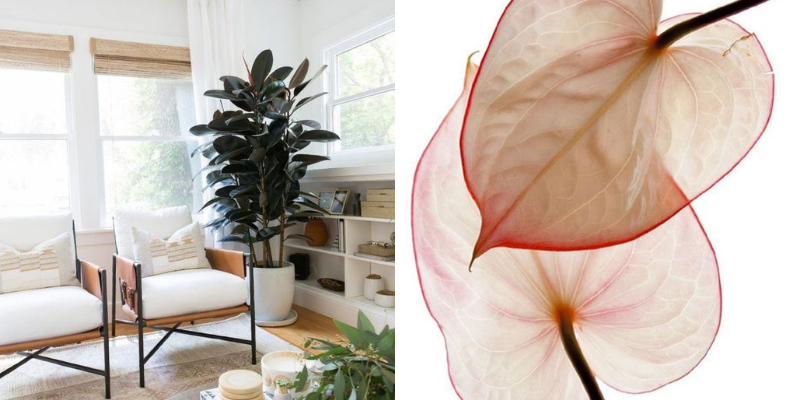Moodboards For Days_ Natural Materials In Mid-Century Style_feat