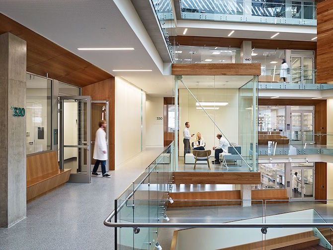 Perkis + Will_ Top Architectural Office_2 perkins + will Perkins + Will: Top Architectural Office Perkis Will  Top Architectural Office 2