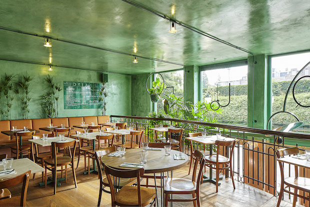 Bar Botanique Cafe Tropique_discover a rainforest-like feel_BOTANIQUE_04 bar Bar Botanique Cafe Tropique: discover a rainforest-like feel Bar Botanique Cafe Tropique discover a rainforest like feel BOTANIQUE 04