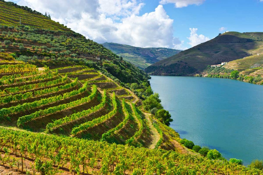Vogue-travel-Portugal-Douro-1024x683 Vogue-travel-Portugal-Douro-1024x683 Vogue travel Portugal - Douro portugal Reasons by Vogue: Why everyone is going to Portugal this year Vogue travel Portugal Douro 1024x683