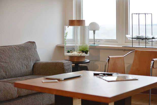 an-aquarium-with-a-scandinavian-design_norrom-aquarium-2 Scandinavian Design An Aquarium with a Scandinavian Design An Aquarium with a Scandinavian Design Norrom Aquarium 2