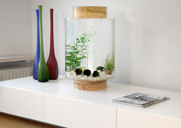 an-aquarium-with-a-scandinavian-design_norrom-aquarium-3 Scandinavian Design An Aquarium with a Scandinavian Design An Aquarium with a Scandinavian Design Norrom Aquarium 3