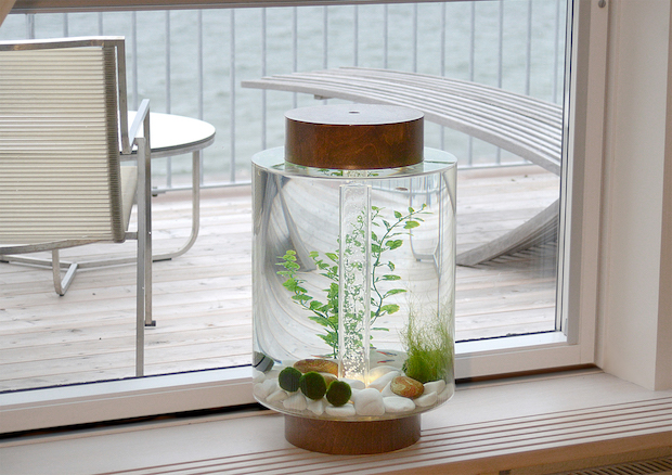 an-aquarium-with-a-scandinavian-design_norrom-aquarium-5 Scandinavian Design An Aquarium with a Scandinavian Design An Aquarium with a Scandinavian Design Norrom Aquarium 5