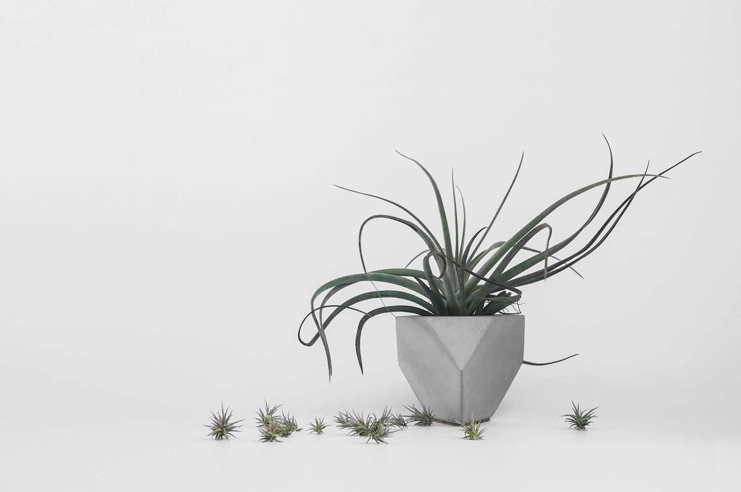 Cement-pots-to-have-at-home-1 Cement-pots-to-have-at-home-1 pots to have at home cement Cement pots to have at home Cement pots to have at home 1