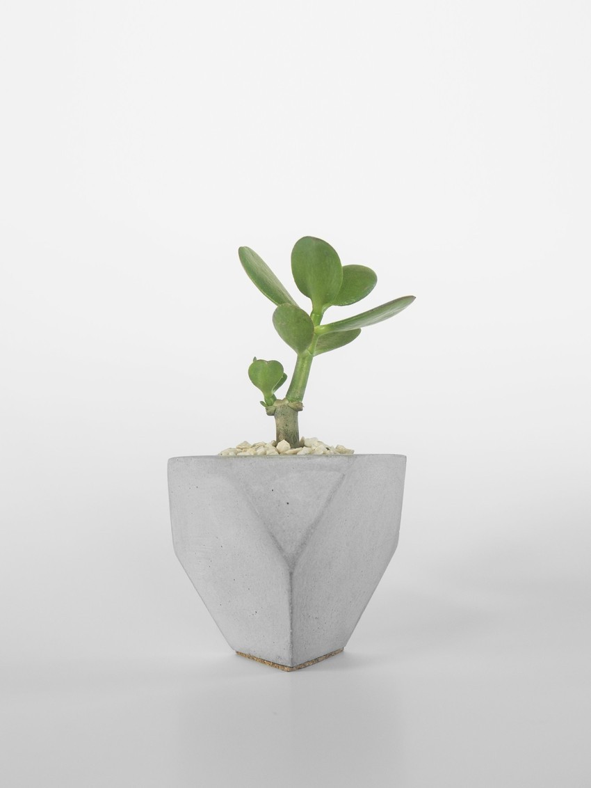 Cement-pots-to-have-at-home-2 Cement-pots-to-have-at-home-2 pots to have at home cement Cement pots to have at home Cement pots to have at home 2