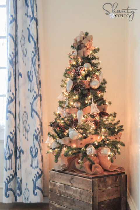 6 8 Adorable Mini Christmas Trees Christmas Trees 8 Adorable Mini Christmas Trees 6 3