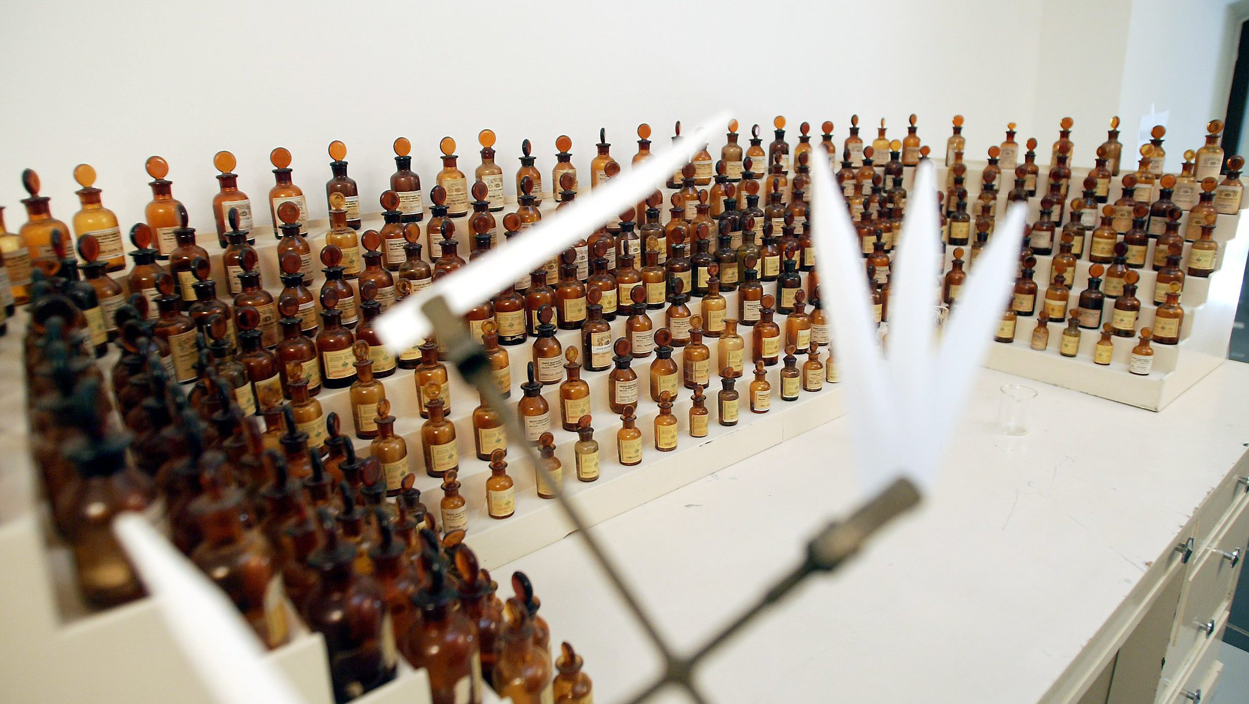 Great-Museum-of-Perfume-of-Paris-proposes-olfactory-visit-7 Great-Museum-of-Perfume-of-Paris-proposes-olfactory-visit-7 Great Museum of Perfume proposes olfactory visit Paris Great Museum of Perfume of Paris proposes olfactory visit Great Museum of Perfume of Paris proposes olfactory visit 7