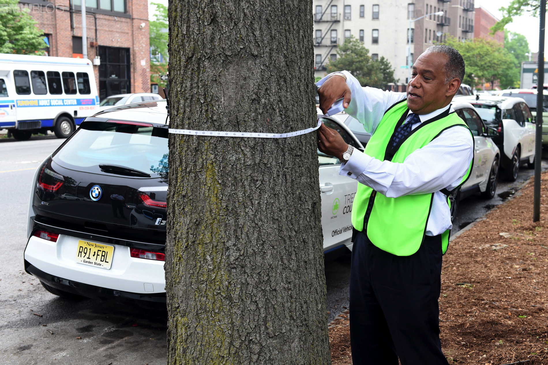 New York city has street trees all cataloged new york New York: city has street trees all cataloged New York city has street trees all cataloged 2