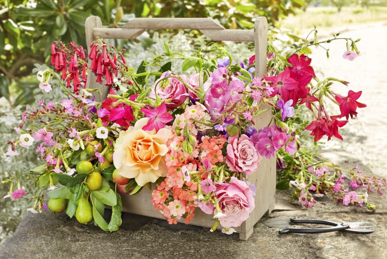 Spring-Trends-2017-How-to-Use-Vintage-Pieces-as-Flowers-Displays-7 Spring-Trends-2017-How-to-Use-Vintage-Pieces-as-Flowers-Displays-7 Essential Home Spring Trends 2017 How to Use Vintage Pieces as Flowers Displays spring trends 2017 Spring Trends 2017: How to Use Vintage Pieces as Flowers Displays Spring Trends 2017 How to Use Vintage Pieces as Flowers Displays 7