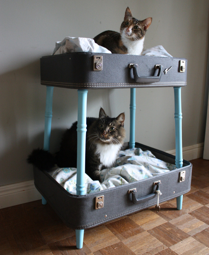 House for a cat: let the pet also have its own personal space house for a cat House for a cat: let the pet also have its own personal space House for a cat let the pet also have its own personal space 1