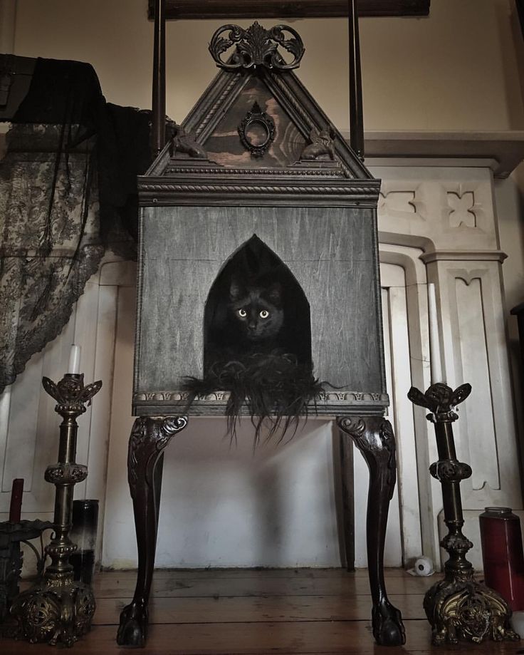 House for a cat: let the pet also have its own personal space house for a cat House for a cat: let the pet also have its own personal space House for a cat let the pet also have its own personal space 2