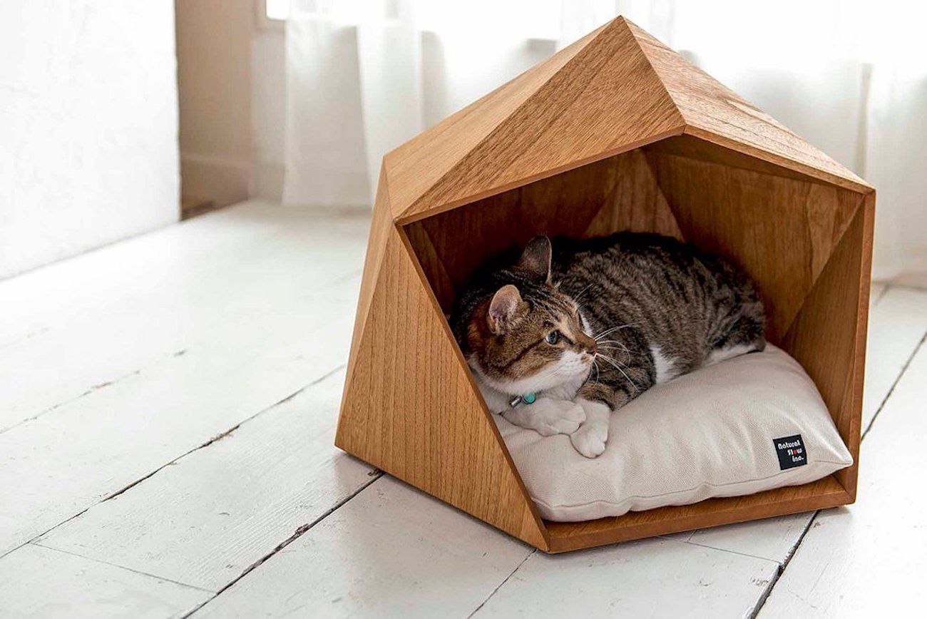 house for a cat House for a cat: let the pet also have its own personal space House for a cat let the pet also have its own personal space