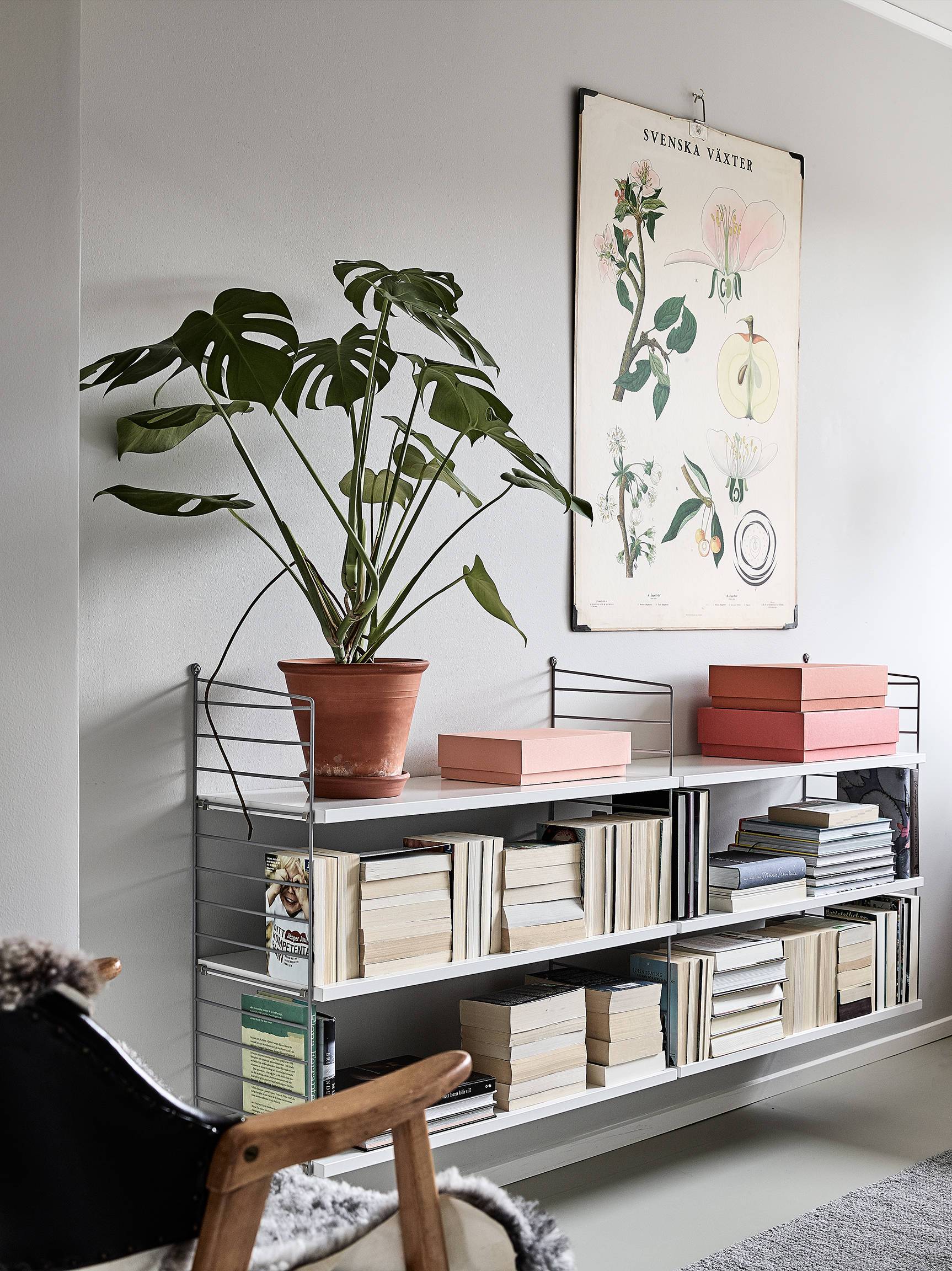 Microtrends: monstera in the interior microtrends Microtrends: monstera in the interior Microtrends monstera in the interior 5
