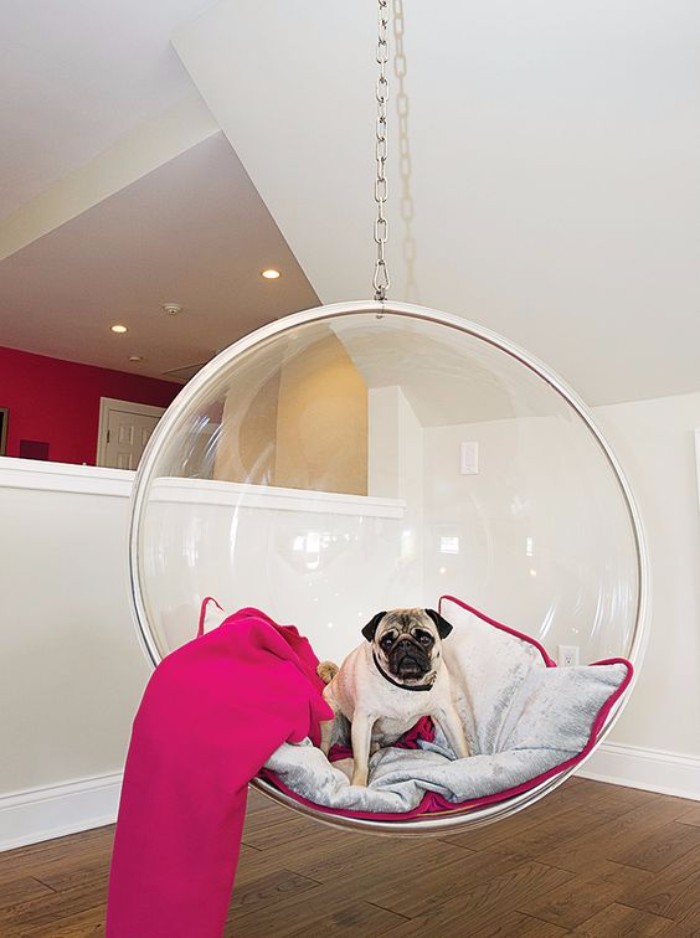 For pugs lovers pugs For pugs lovers ❤️ 0016db22627bef59220a026c216cb8e2