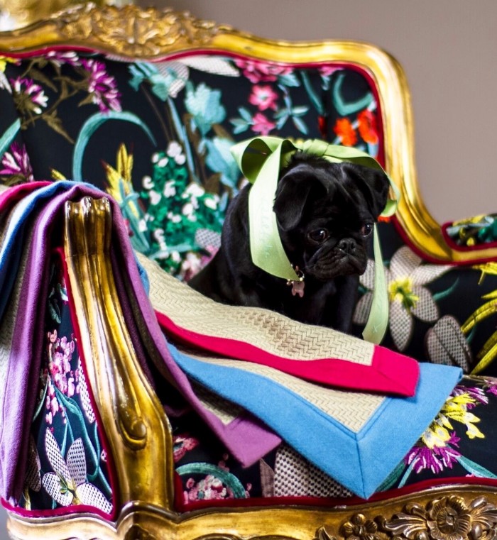 For pugs lovers pugs For pugs lovers ❤️ Arabella 2 1200 1304 s c1