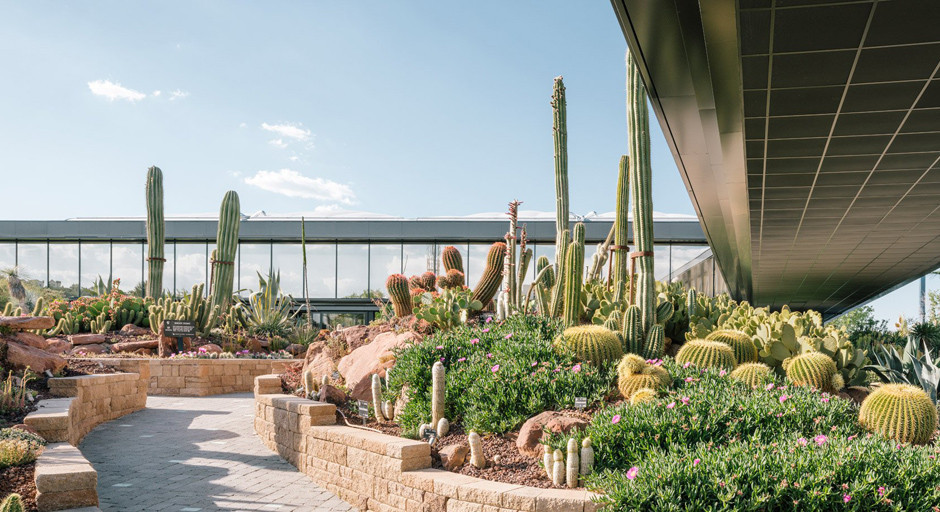 "Desert City" in Spain cactus cactus Desert city “Desert City” in Spain cactus