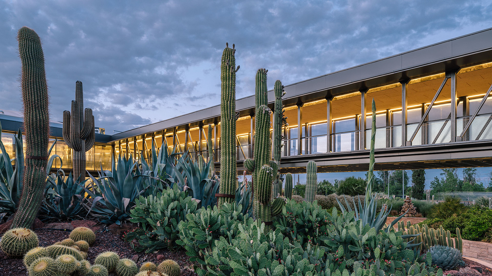 "Desert City" in Spain cactus cactus "Desert City" in Spain Desert city “Desert City” in Spain cactus
