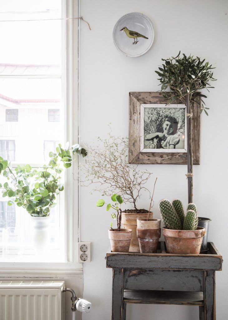 housewarming What to give for a housewarming: a few good ideas kukka 731x1024