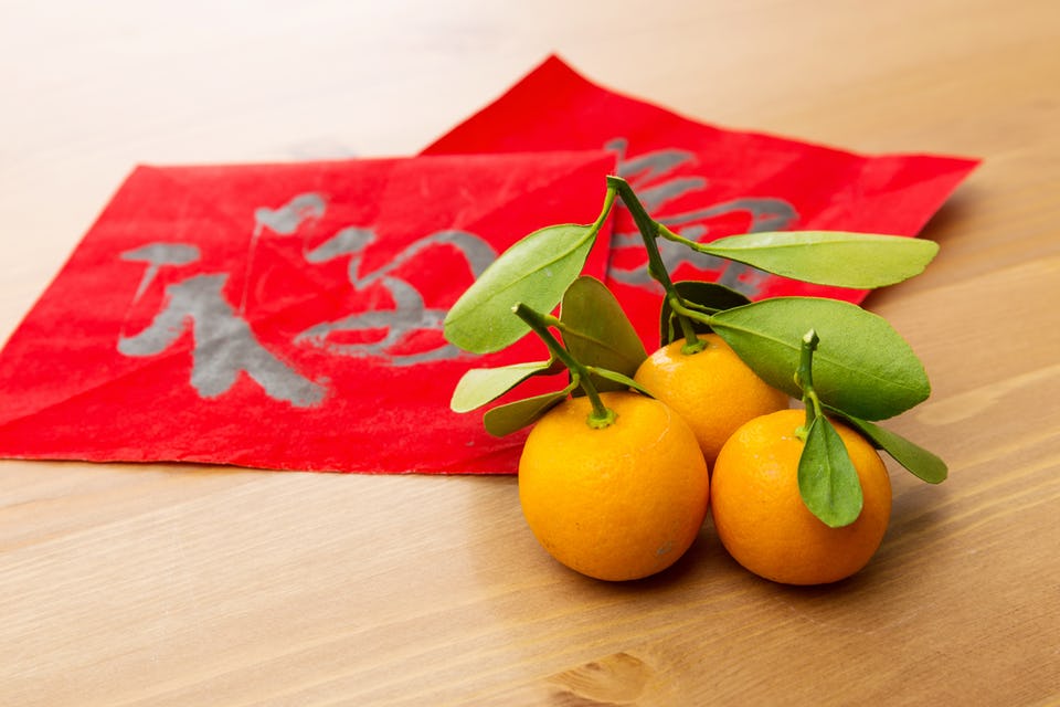 Chinese-New-Year-2018-All-You-Want-to-Know-About-the-Year-of-the-Dog_2 Chinese-New-Year-2018-All-You-Want-to-Know-About-the-Year-of-the-Dog_2 Chinese New Year 2018 All You Want to Know About the Year of the Dog_1 chinese new year 2018 Chinese New Year 2018: All You Want to Know About the Year of the Dog Chinese New Year 2018 All You Want to Know About the Year of the Dog 2
