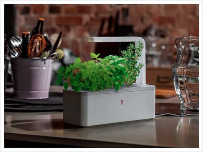 Mother's Day Gift Ideas All Moms Wish Their Kids Would Get Them mother's day Mother’s Day Gift Ideas All Moms Wish Their Kids Would Get Them Mothers Day Gift Ideas All Moms Wish Their Kids Would Get Them 1