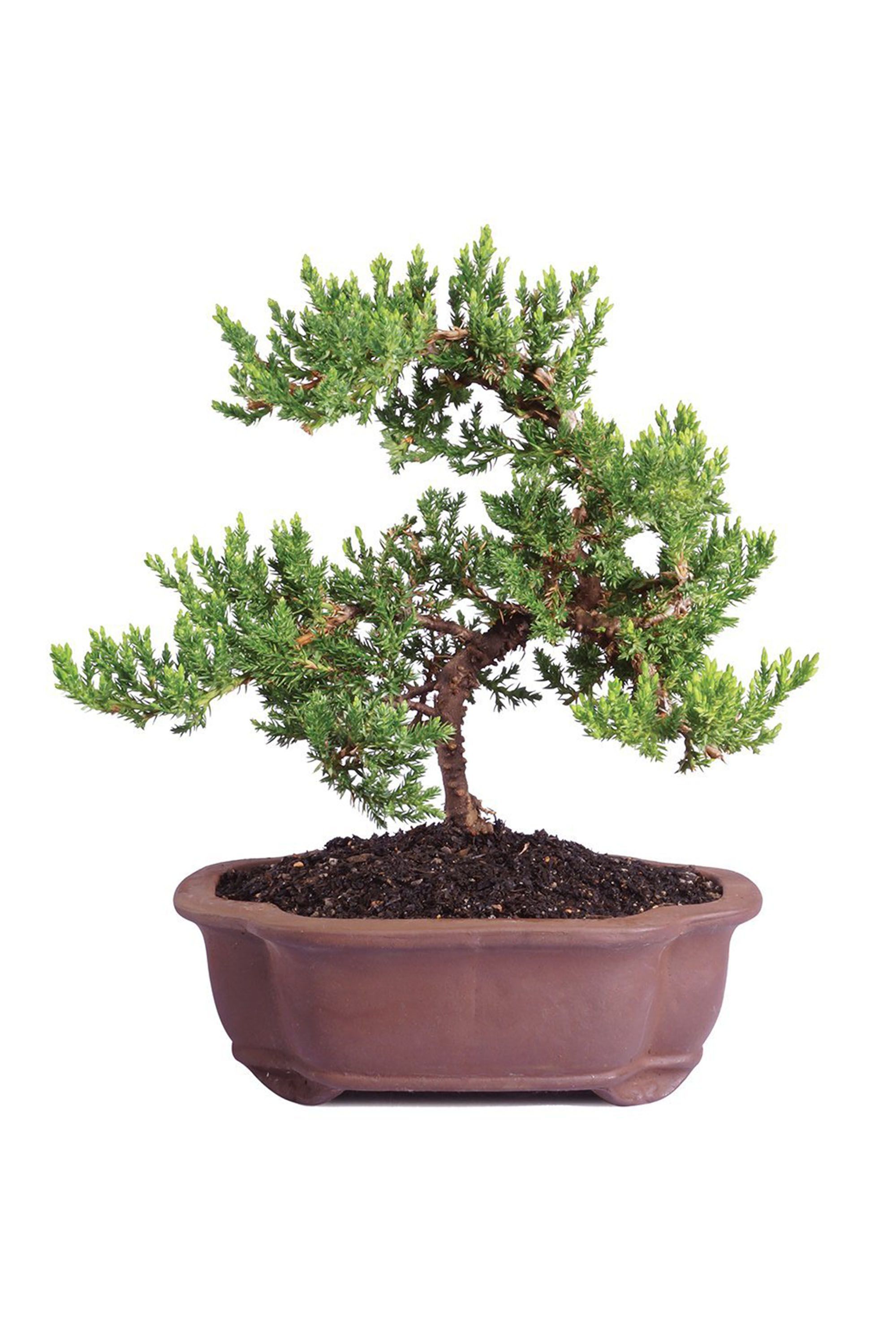 6-Last-Minute-Mother’s-Day-Gifts-Your-Kids-Can-Still-Get-You_2 6-Last-Minute-Mother’s-Day-Gifts-Your-Kids-Can-Still-Get-You_2 6 Last Minute Mother’s Day Gifts Your Kids Can Still Get You_1 last minute Mother’s Day gifts 6 Last Minute Mother’s Day Gifts Your Kids Can Still Get You 6 Last Minute Mother s Day Gifts Your Kids Can Still Get You 2