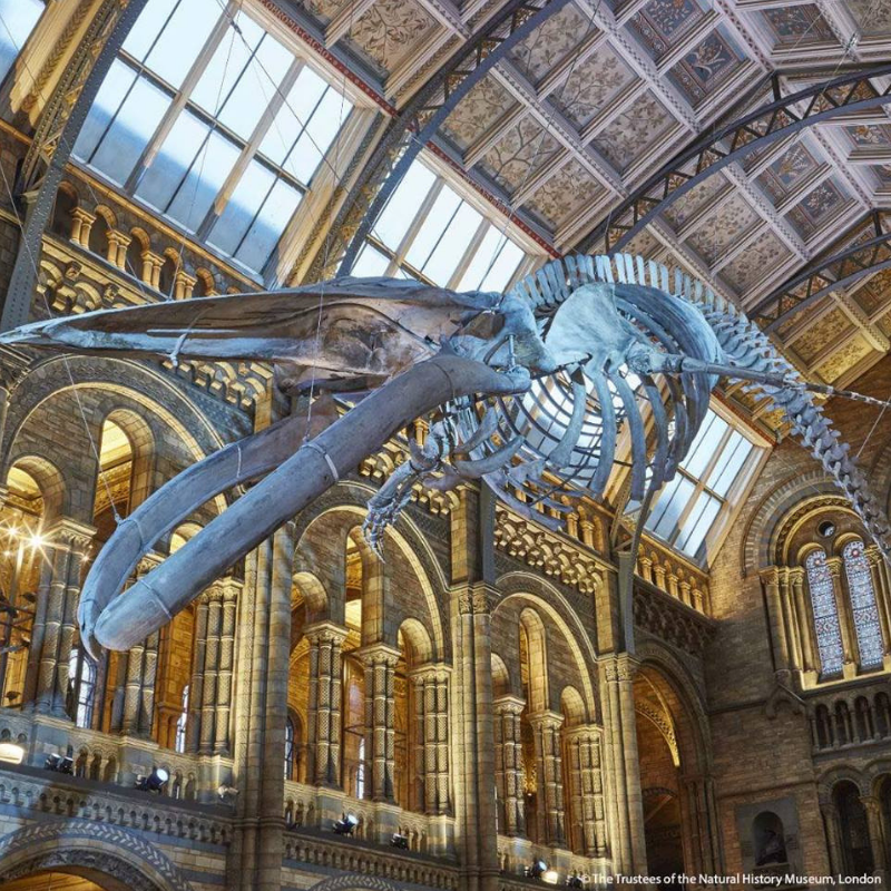 10 Unusual Things to Do in London this September unusual things to do in london 10 Unusual Things to Do in London this September 10 Unusual Things to Do in London this September 15