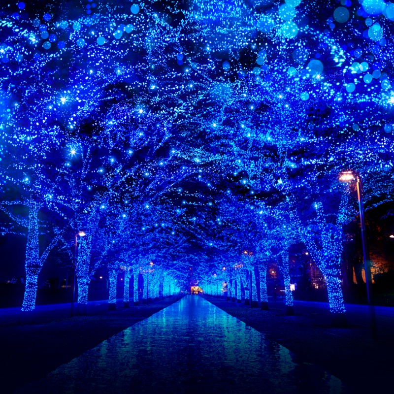 Warm-Yourself-Up-With-These-Christmas-Lights-Around-The-World Warm-Yourself-Up-With-These-Christmas-Lights-Around-The-World Warm Yourself Up With These Christmas Lights Around The World christmas lights Warm Yourself Up With These Christmas Lights Around The World Warm Yourself Up With These Christmas Lights Around The World