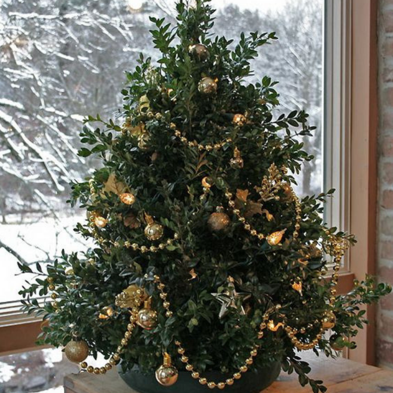 8 Adorable And Charming Mini Christmas Trees For Your Home Decor mini christmas trees 8 Adorable And Charming Mini Christmas Trees For Your Home Decor 8 Adorable And Charming Mini Christmas Trees For Your Home Decor