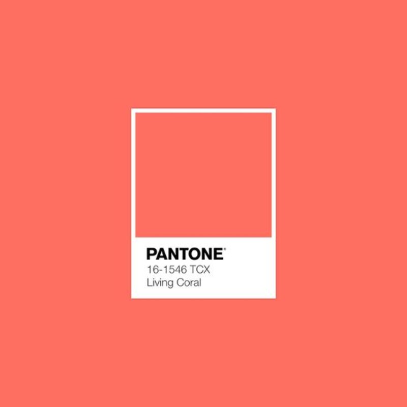 All-The-Trends-for-Spring-Summer-2019-In-One-Place_5 All-The-Trends-for-Spring-Summer-2019-In-One-Place_5 All The Trends for Spring Summer 2019 In One Place!All The Trends for Spring Summer 2019 In One Place! spring summer 2019 All The Trends for Spring Summer 2019 In One Place! All The Trends for Spring Summer 2019 In One Place 5
