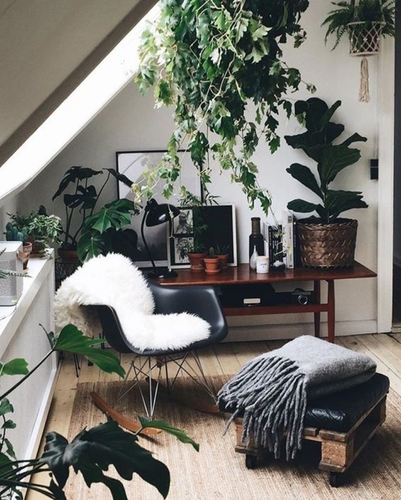 Home-Decor-Tips-Learn-To-Decor-Like-A-Pro_2 Home-Decor-Tips-Learn-To-Decor-Like-A-Pro_2 Home Decor Tips Learn To Decor Like A Pro home decor tips Home Decor Tips: Learn To Decor Like A Pro Home Decor Tips Learn To Decor Like A Pro 2