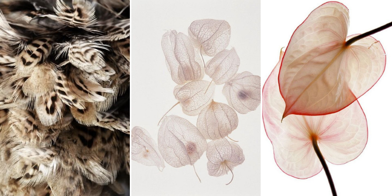 2 2 Moodboard Trends: Natural Materials natural materials Moodboard Trends: Natural Materials 2