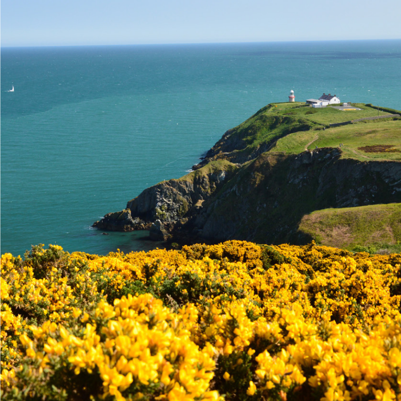 Ireland City Guide Best Destinations This Summer ireland city guide Ireland City Guide: Best Destinations This Summer Ireland City Guide Best Destinations This Summer 4