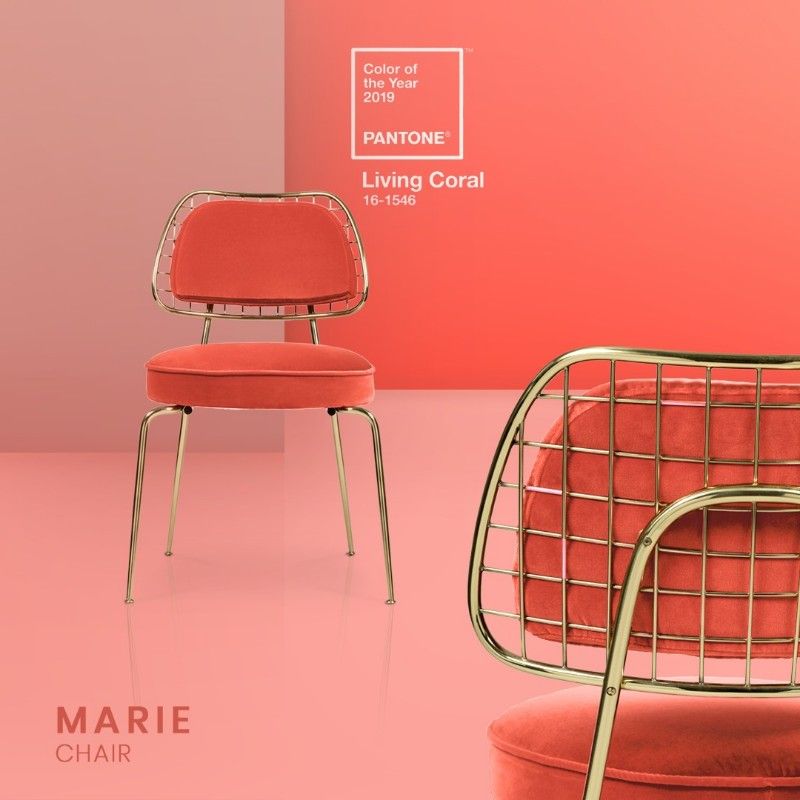 Heres-The-Coral-Furniture-You-Need-To-Have-In-Your-Home-In-2019_1-1 Heres-The-Coral-Furniture-You-Need-To-Have-In-Your-Home-In-2019_1-1 Here's The Coral Furniture You Need To Have In Your Home In 2019_1 (1) coral furniture Here’s The Coral Furniture You Need To Have In Your Home In 2019 Heres The Coral Furniture You Need To Have In Your Home In 2019 1 1