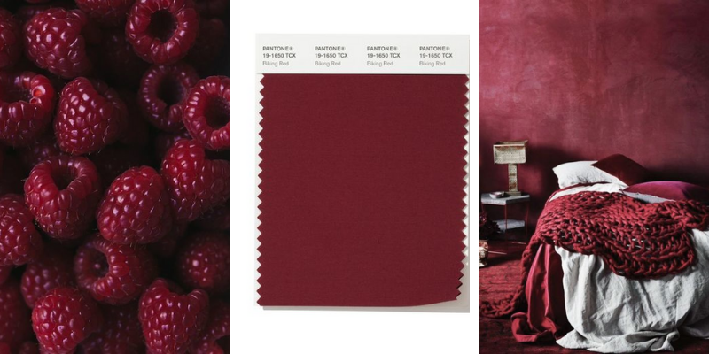 Trend-Alert_-These-Are-The-Pantone-Color-Trends-Fall_Winter-2019_2 Trend-Alert_-These-Are-The-Pantone-Color-Trends-Fall_Winter-2019_2 Trend Alert_ These Are The Pantone Color Trends Fall_Winter 2019_2 pantone color trends Trend Alert: These Are The Pantone Color Trends Fall/Winter 2019 Trend Alert These Are The Pantone Color Trends Fall Winter 2019 2