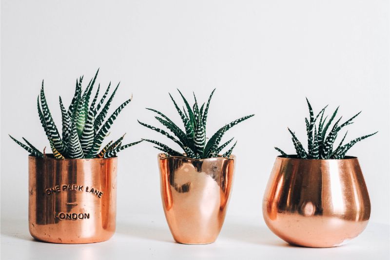 kara-eads-gVUV7PbSu_0-unsplash-1 kara-eads-gVUV7PbSu_0-unsplash-1 3 Details You Must Be Able to Pinpoint In Mid-Century Furniture_1 mid-century furniture 3 Details You Must Be Able to Pinpoint In Mid-Century Furniture kara eads gVUV7PbSu 0 unsplash 1