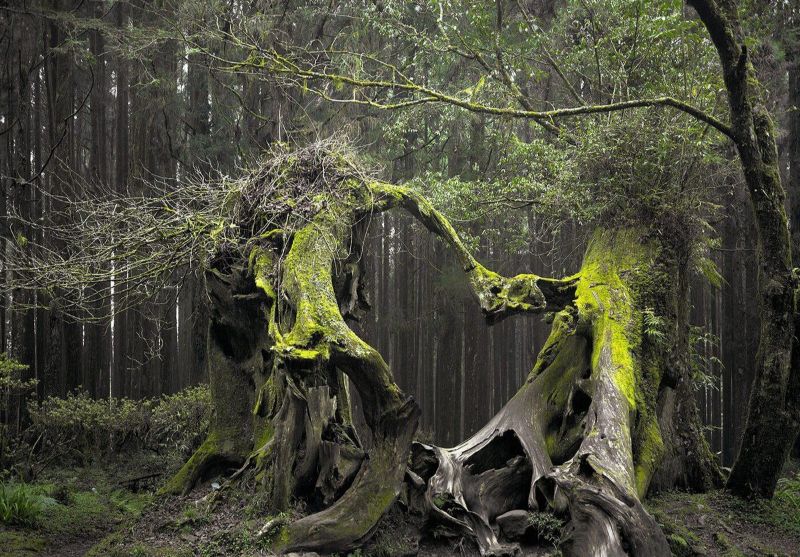 10-Haunted-Places-To-Visit-For-A-Spooky-Halloween_2-1 10-Haunted-Places-To-Visit-For-A-Spooky-Halloween_2-1 haunted places to visit 10 Haunted Places To Visit For A Spooky Halloween 10 Haunted Places To Visit For A Spooky Halloween 2 1