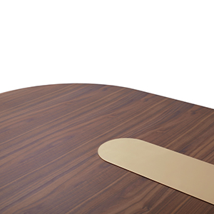Bertoia Oval dining table