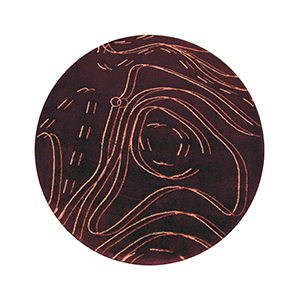 Allen rug